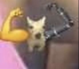 CrossoverPibby's tweet photo. @NoTimeForFunkin @FNFNewsAnnounc1 @News_Funkin @iDuckFilms [the cat will not be forgotten... even if it is in the same void] 

Bro, this mod is so much more than it seems! And I love this mod! https://t.co/Slpyp9IpXq