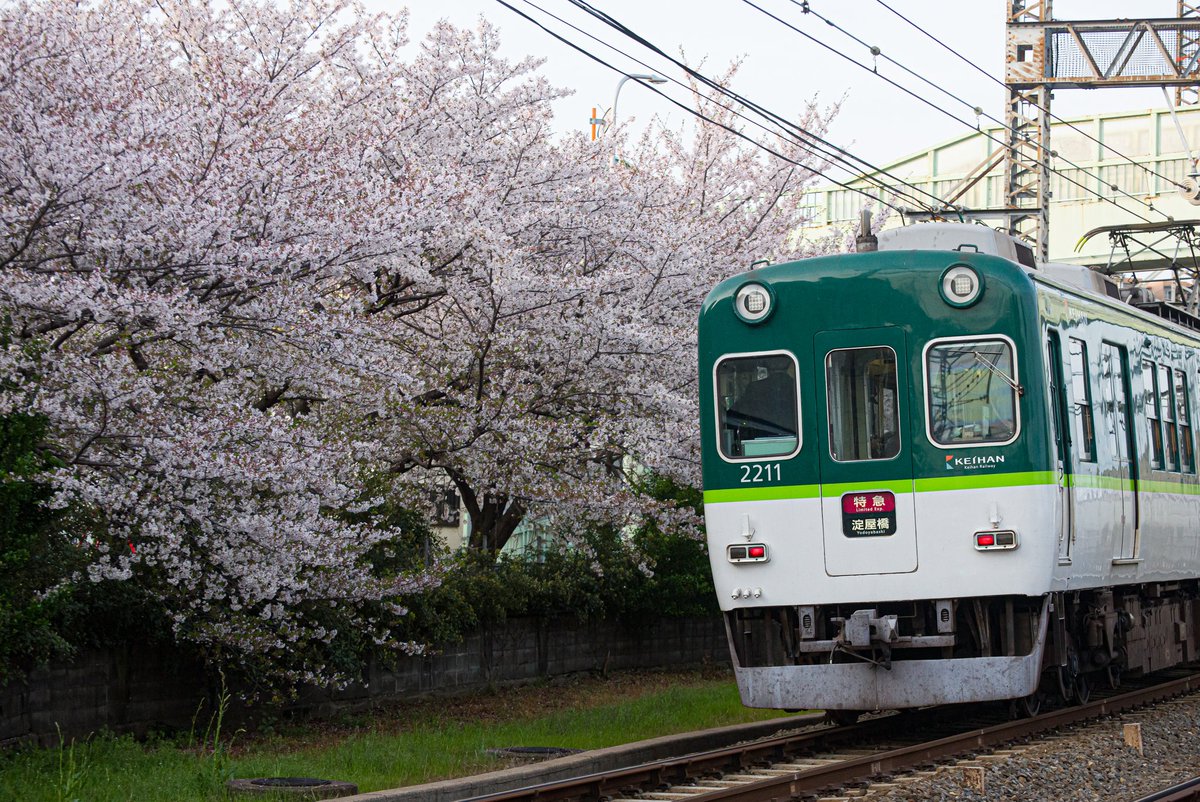 yu_damo's tweet photo. 京阪2200系 2211-⑦-2261編成
自分の中で最も思い入れのある編成でした。追いかけ続けた2年半の短い間でしたがありがとう。お疲れ様。 https://t.co/YDPYYHTxWs