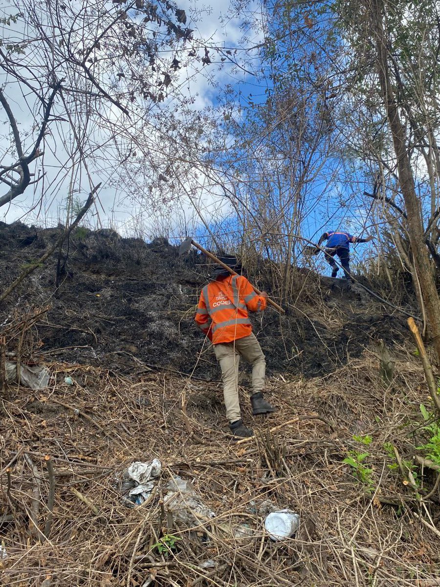 AlcaldiaDCHN's tweet photo. Tras recibir el llamado de emergencia, a través de la Línea 100, nuestros equipos del CODEM se movilizaron de inmediato para controlar el incendio de una zacatera en Altos de Santa Rosa. 🔥🚫🚒
¡La Alcaldía en Acción en esta Semana Santa!
#linea100
#codem
#amdc
#semanasanta https://t.co/VL3iS6xfdu