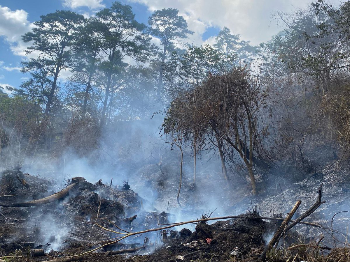 AlcaldiaDCHN's tweet photo. Tras recibir el llamado de emergencia, a través de la Línea 100, nuestros equipos del CODEM se movilizaron de inmediato para controlar el incendio de una zacatera en Altos de Santa Rosa. 🔥🚫🚒
¡La Alcaldía en Acción en esta Semana Santa!
#linea100
#codem
#amdc
#semanasanta https://t.co/VL3iS6xfdu