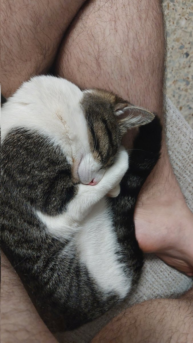 RanguGamer's tweet photo. :'3 https://t.co/YYdFneHLJo