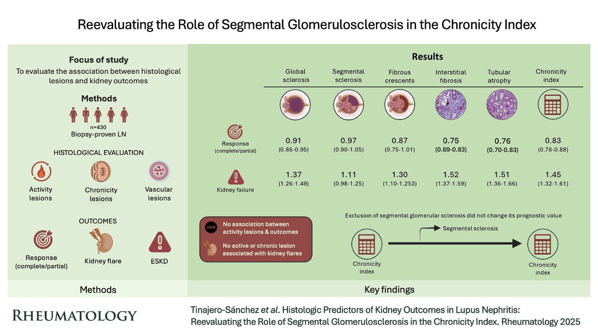 Unlike global sclerosis, several studies show that segmental glomerular sclerosis has NO prognostic implications in #lupusnephritis. In this study we show that segmental glomerular sclerosis is NOT associated with response or prognosis in #lupusnephritis. shorturl.at/KRUbO