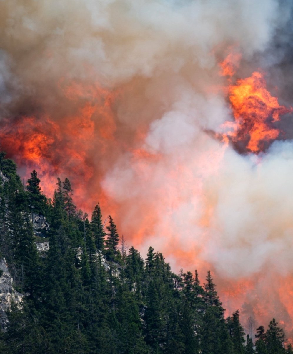 Kyle Brittain (@badweatherkyle) on Twitter photo Could be gearing up for yet another active year of wildfires in western Canada.
Stay tuned for an in-depth look with <a href="/mikeflannigan/">Mike Flannigan</a> and yours truly next week! π₯ Could be gearing up for yet another active year of wildfires in western Canada.
Stay tuned for an in-depth look with <a href="/mikeflannigan/">Mike Flannigan</a> and yours truly next week! π₯