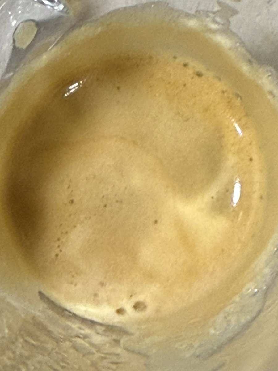 byronmelbourne's tweet photo. Loving my Wacaco NS2 Minipresso! ☕ The coffee is absolutely beautiful - just look at that rich, velvety crema. Perfect for camping - small, light, and all you need is a coffee pod and an espresso worth of hot water! 
One happy camper #CoffeeLovers #WacacoNS2 #CampingEssentials https://t.co/Omfx6sfhAu