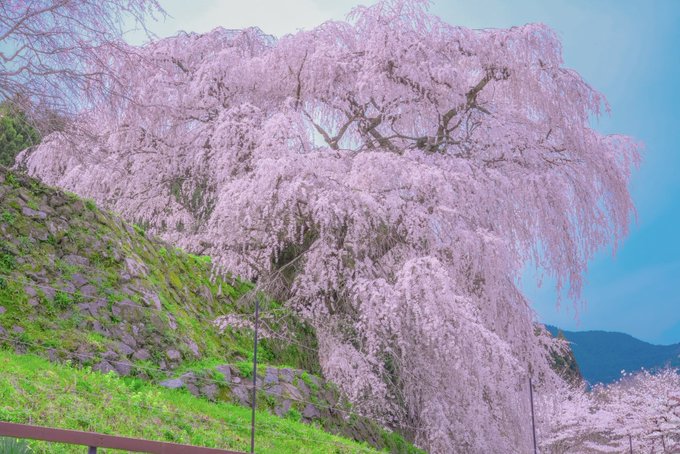 Twitterのコスプレ画像1