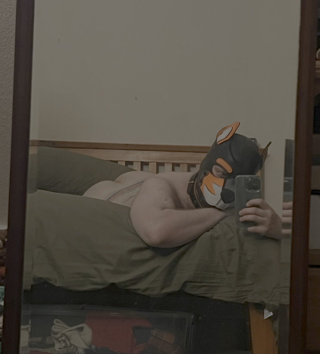 Pup Kit 🪷 tweet media