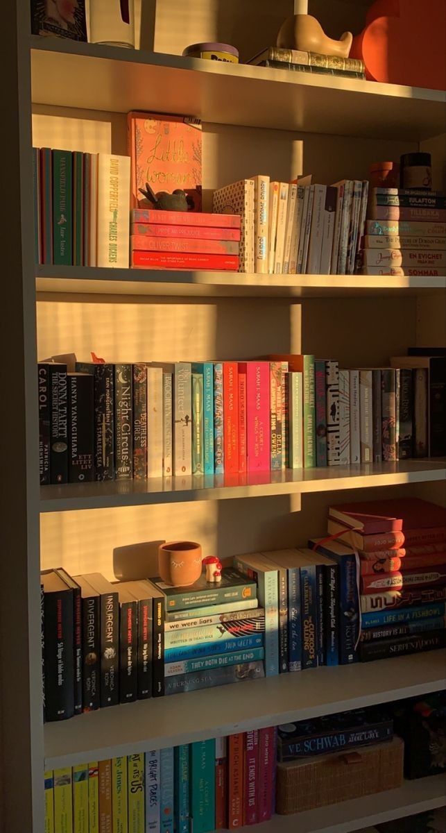 lenibarrow's tweet image. solta o . e eu te dou uma estante de
acordo com seu perfil

kibei