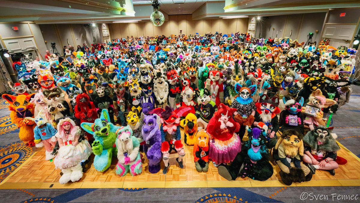 📸🦊 Sven Fennec 🍥 tweet media