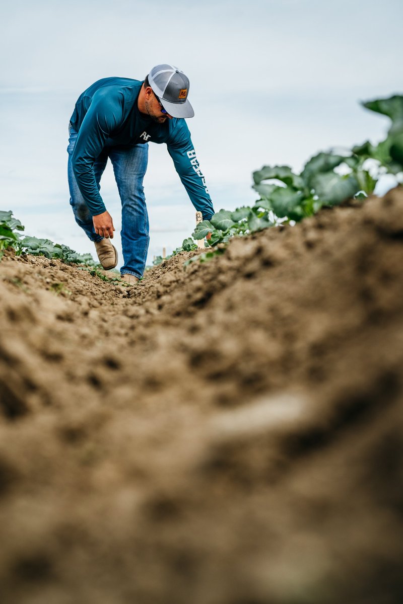 aggearclothing's tweet photo. Sun up to sun down, no excuses. Farm-Pro LS is built like you—tough, reliable, and ready for whatever the day throws at you. 

#farmpro #durable #comfort #upf50 #agriculture #performance #farm #ranch #clothing #aggear https://t.co/NKrD3jJ51O