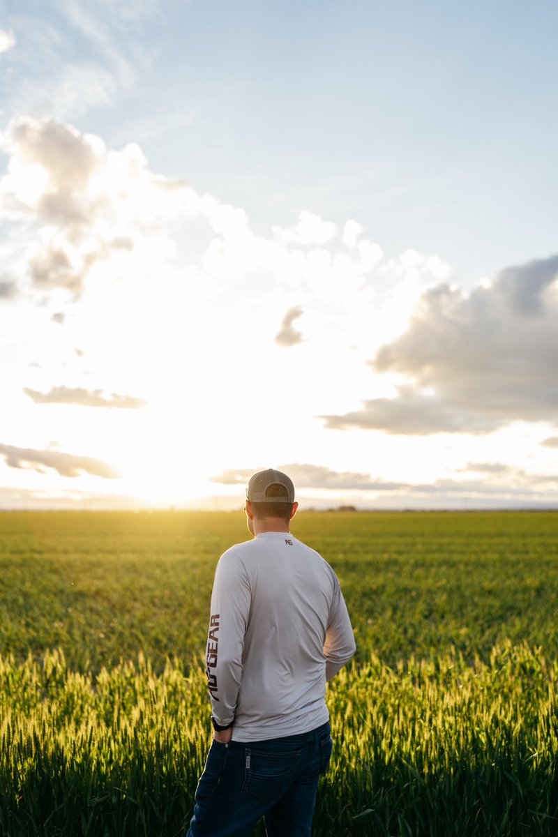 aggearclothing's tweet photo. Sun up to sun down, no excuses. Farm-Pro LS is built like you—tough, reliable, and ready for whatever the day throws at you. 

#farmpro #durable #comfort #upf50 #agriculture #performance #farm #ranch #clothing #aggear https://t.co/NKrD3jJ51O