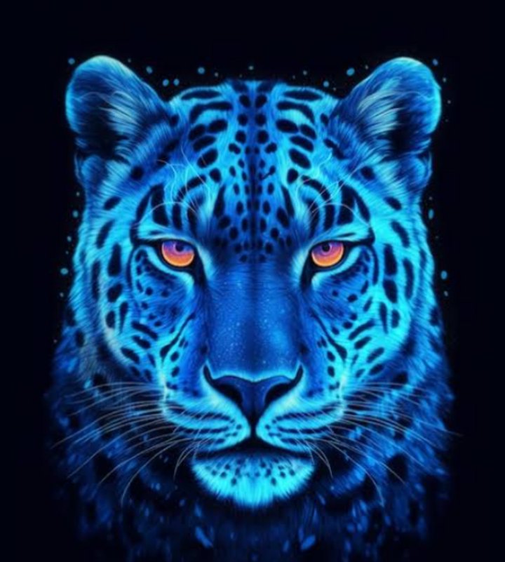 ElayneRasel's tweet photo. @ChrisBats516 Monday night of peace 💙🙏🏻🖤❤️😘 https://t.co/TWVOlUhIjc
