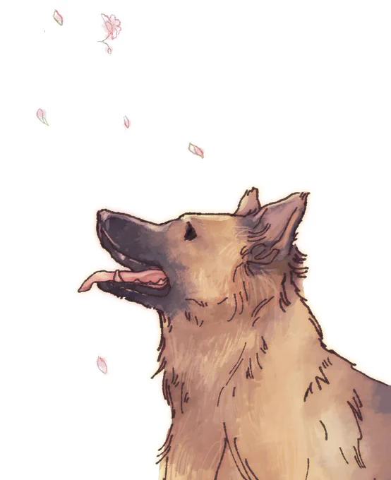 skeb一件、再送要請をお送りしました。素敵なご依頼で大切に描かせていただいていたのですが、こちらの事情で申し訳なく…。もしご都合よろしければ再送いただけると嬉しいです 