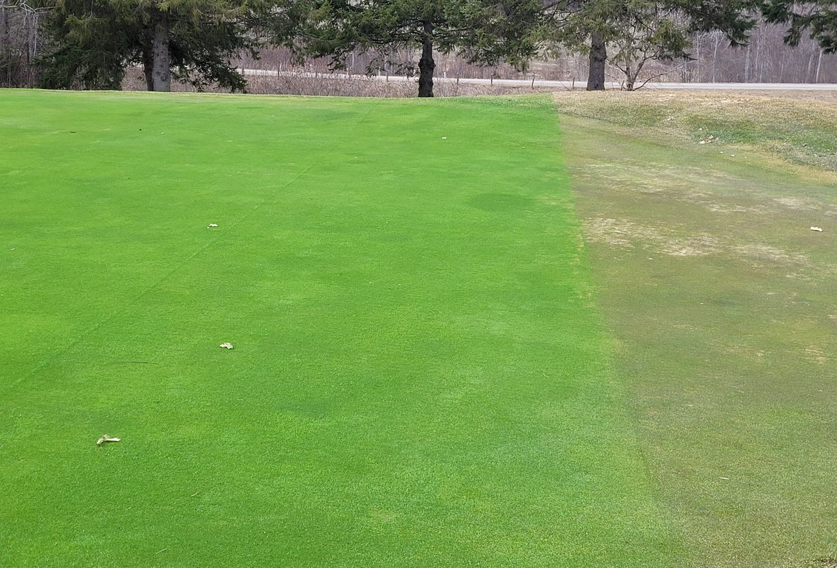 Turfgeneral's tweet photo. "Tarps off boys" #happy turf #happysuper https://t.co/uRMuHpEypx