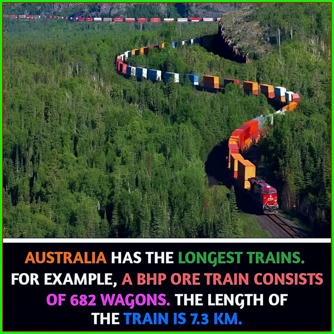 Kkakar29Online's tweet image. "🙂 GOOD MORNING ! ☕🌞🌈 May your day🌞 be rhythmic🎶, your heart❤️ be melodic🎵, and your existence be joyous!☺️"💯💐💖🦚🎼🪔🙏 #RhythmicVibes #JoyousMind #GoodMorning #PositiveVibes #HappyDay #Joy #Blessings #NewDawn