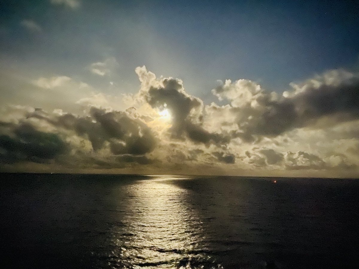 The Word Machine CIC tweet media