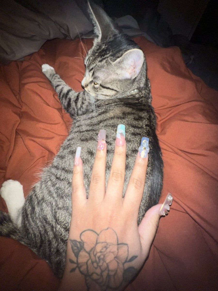 Me7Deshawn's tweet photo. Sleeping cat https://t.co/JO0vjWYxMX