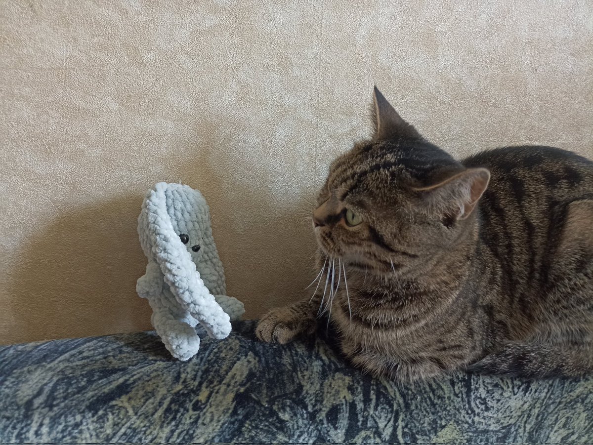 Откуда ты такой маленький взялся? 
Зайчик, говоришь? Связали? 
Ну ладно, живи на диване со всеми игрушками. Но к Человекам не лезь. Они мои. 

За сим отмуркиваюсь
Ваша Кася