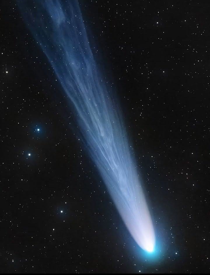 maiz_julio's tweet image. Comet Leonard C2021 A1 by 📷  Lionel Mjazic.