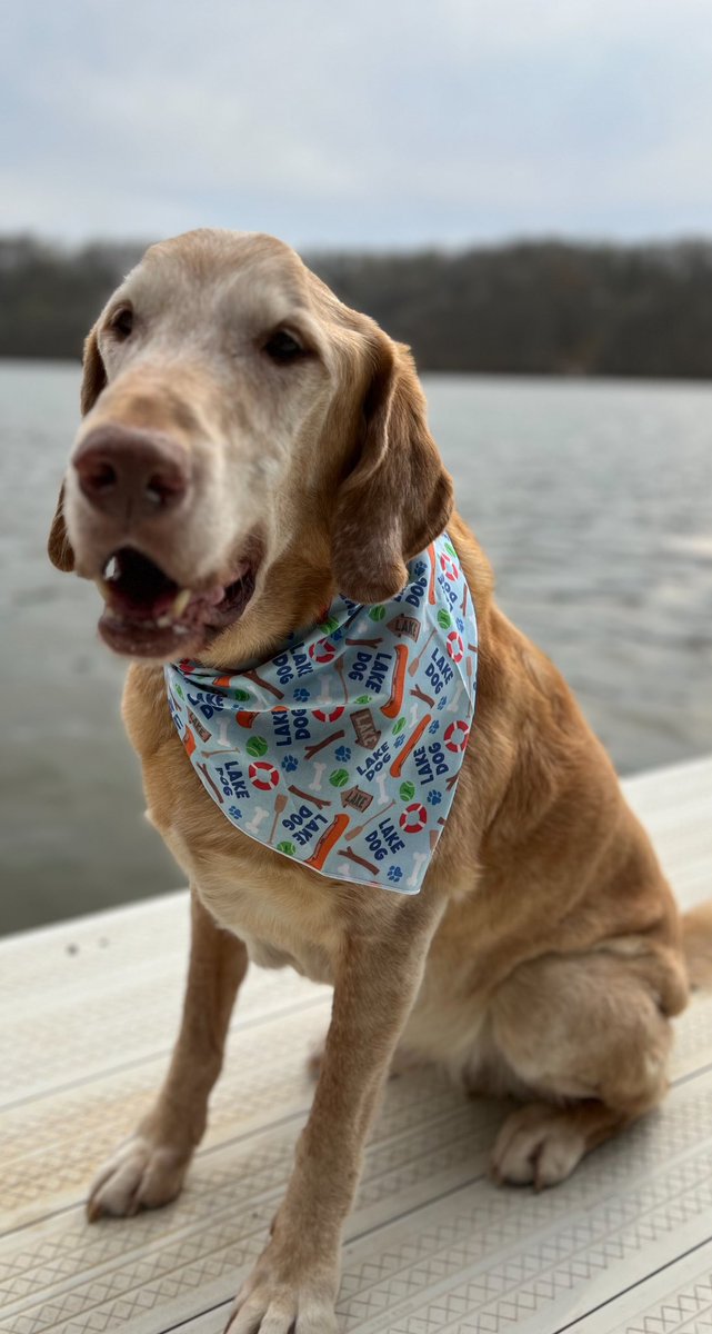 Arći (In memory of AZLAN🌈) tweet media