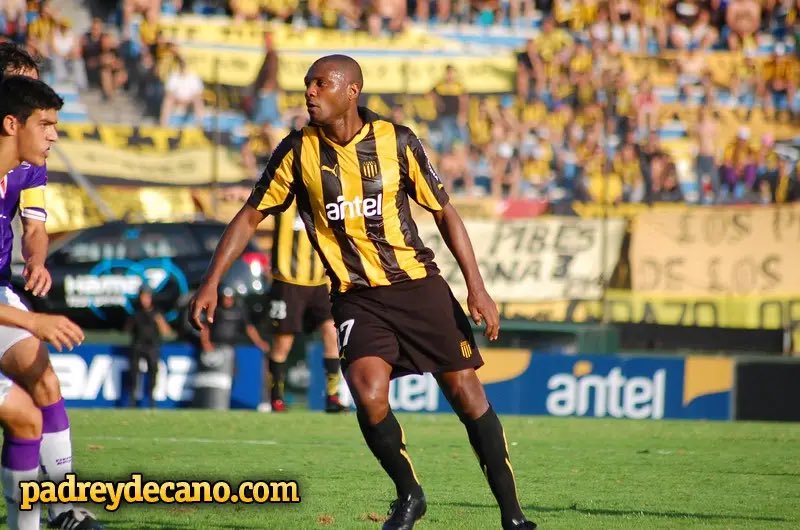 padreydecano.com tweet media