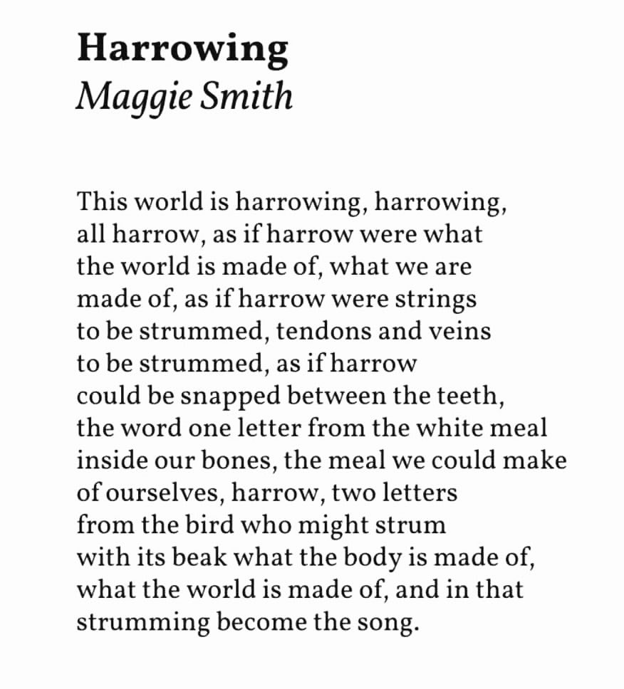 buy FENESTRATION tweet media