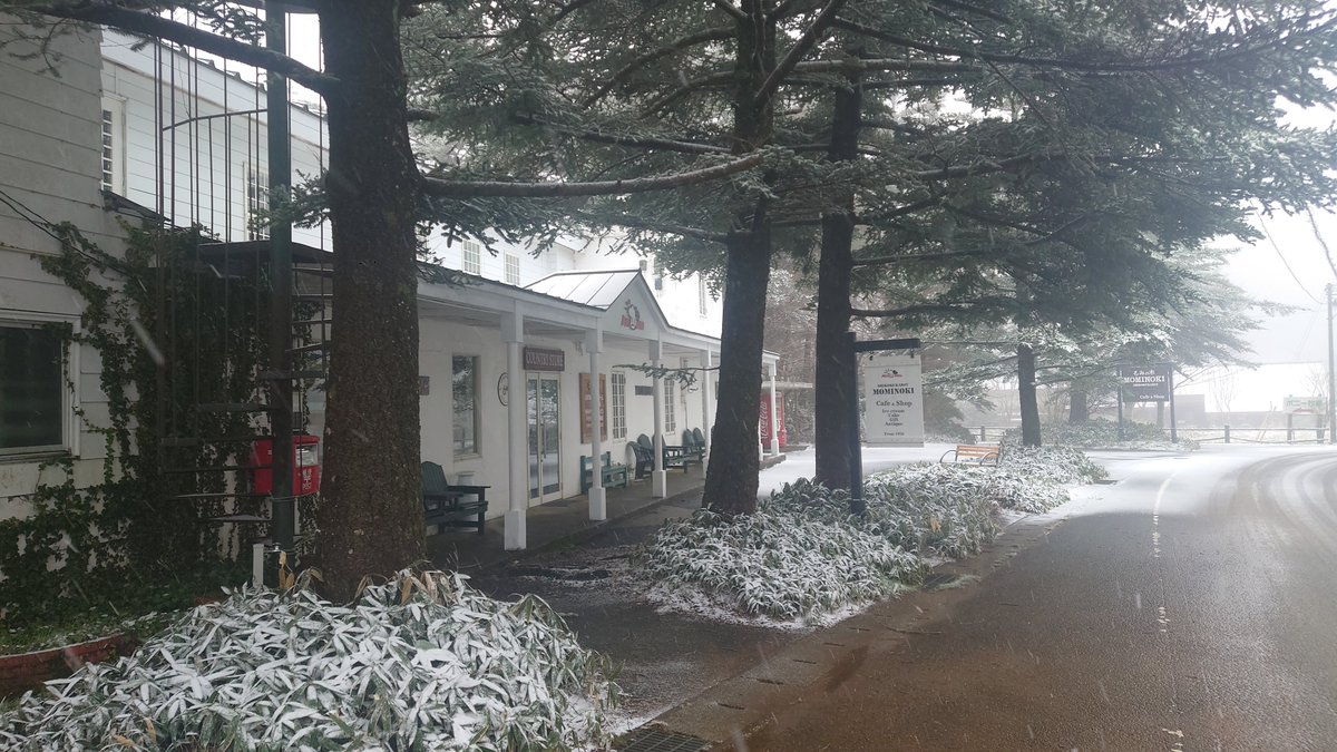 mominok1956's tweet photo. 本日(4月15日)は、休業致します。
…雪、降ってます😓 https://t.co/44WveQ62FX
