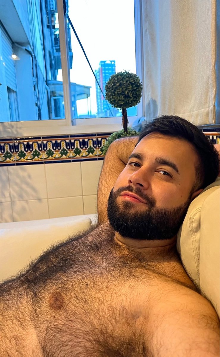 El Bearcito (@luisporta01) on Twitter photo 