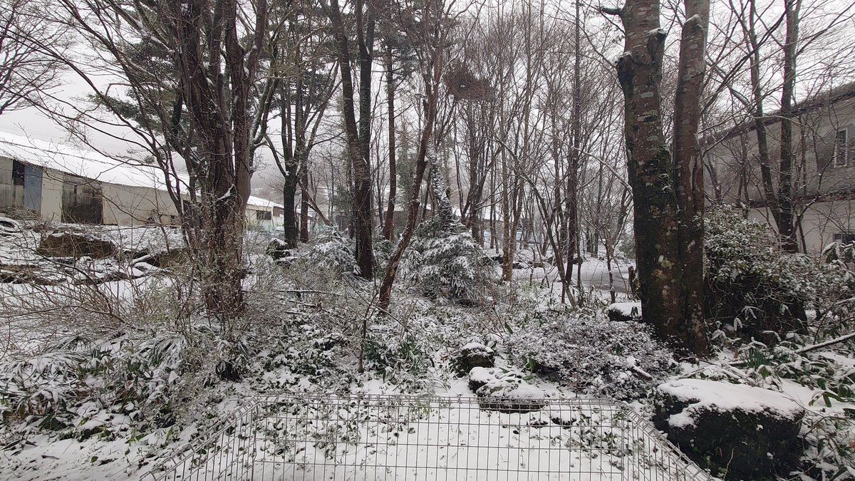 mominok1956's tweet photo. 本日(4月15日)は、休業致します。
…雪、降ってます😓 https://t.co/44WveQ62FX