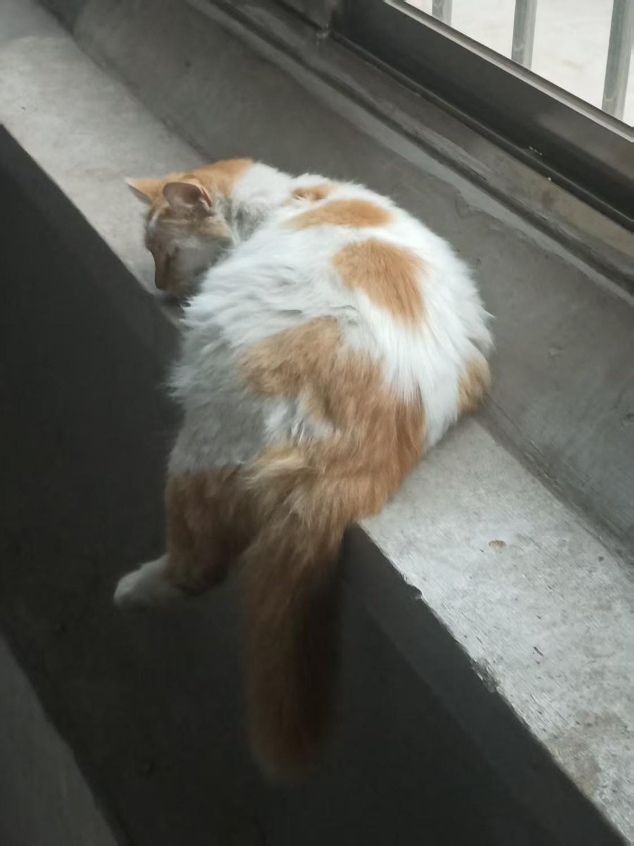 如果不喝酒就很开心的话
​为什么每天都要喝点酒呢