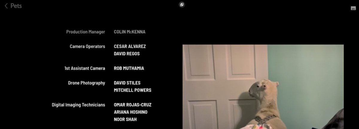 Finally can post that I got to work with Bryce Dallas Howard on her new show on Disney + #pets