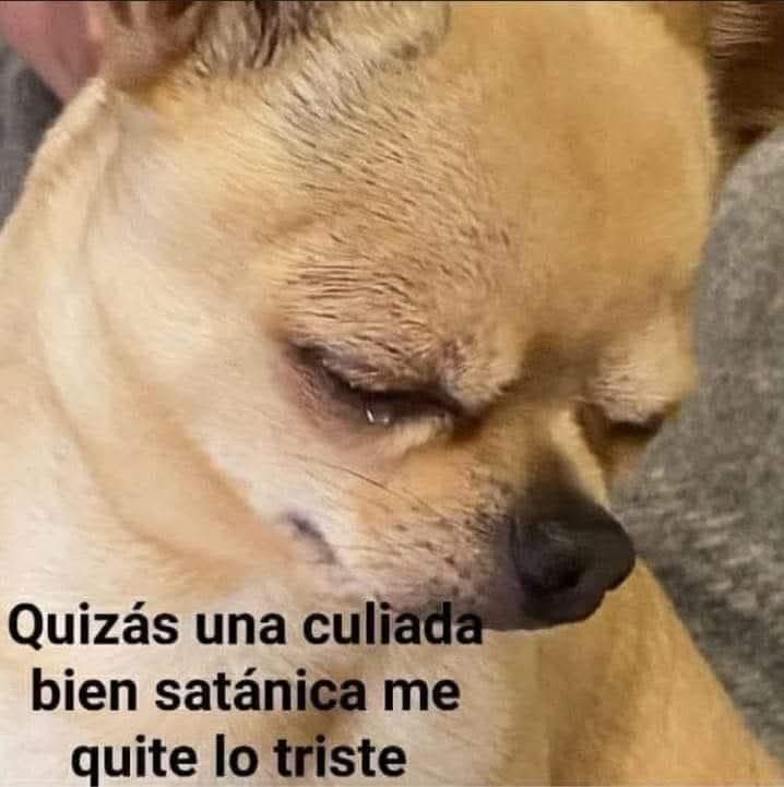 Mi esposo : que puedo hacer para que no estés triste ?
Yo: Quizás un single vergón 😘 b&amp; Monse 😘 saludos 🍑😋