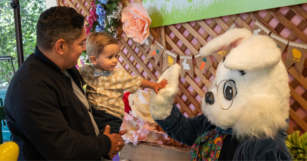 LAZoo's tweet photo. 🌍🐰 It’s almost time…
Wild for the Planet is back at the L.A. Zoo!
April 18–20 🎉

🎶 Live shows
📚 Story time
🐾 Animal presentations
📸 Big Bunny photo op
🌱 Eco activities for all ages

https://t.co/UHXb4Hef08

#WildForThePlanet #LAZoo #EarthDay #3rdRockHipHop #GrumpyMonkey https://t.co/wHZJnV3MZA