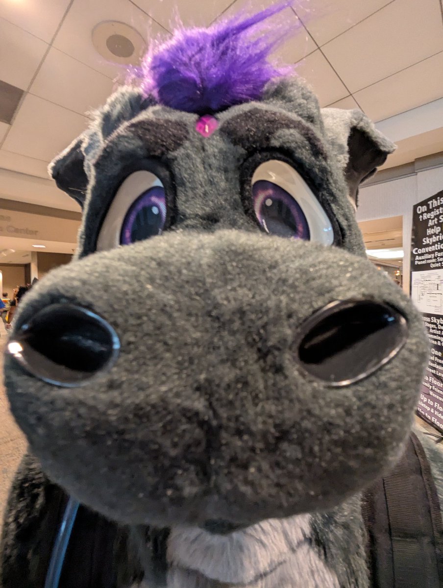 Grymph Simp ✈ TFF tweet media