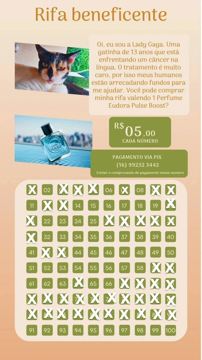 MINHA GATA ESTÁ COM CÂNCER.  

AJUDEM A LADY GAGA COM O SEU TRATAMENTO.  

As medicações/exames/consultas já ultrapassaram os 2 mil reais. 

Destranquei o tweet pra vocês darem rt ❤️