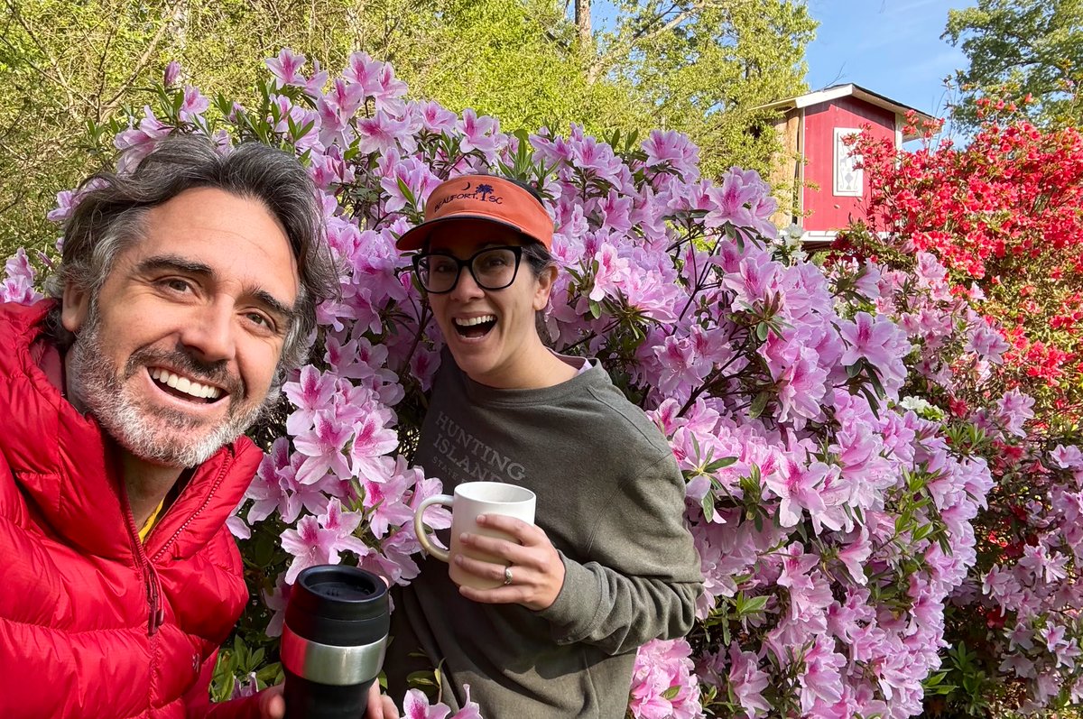 Rob Nelson tweet media