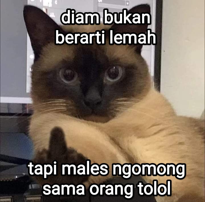 el (@halupulisi) on Twitter photo 