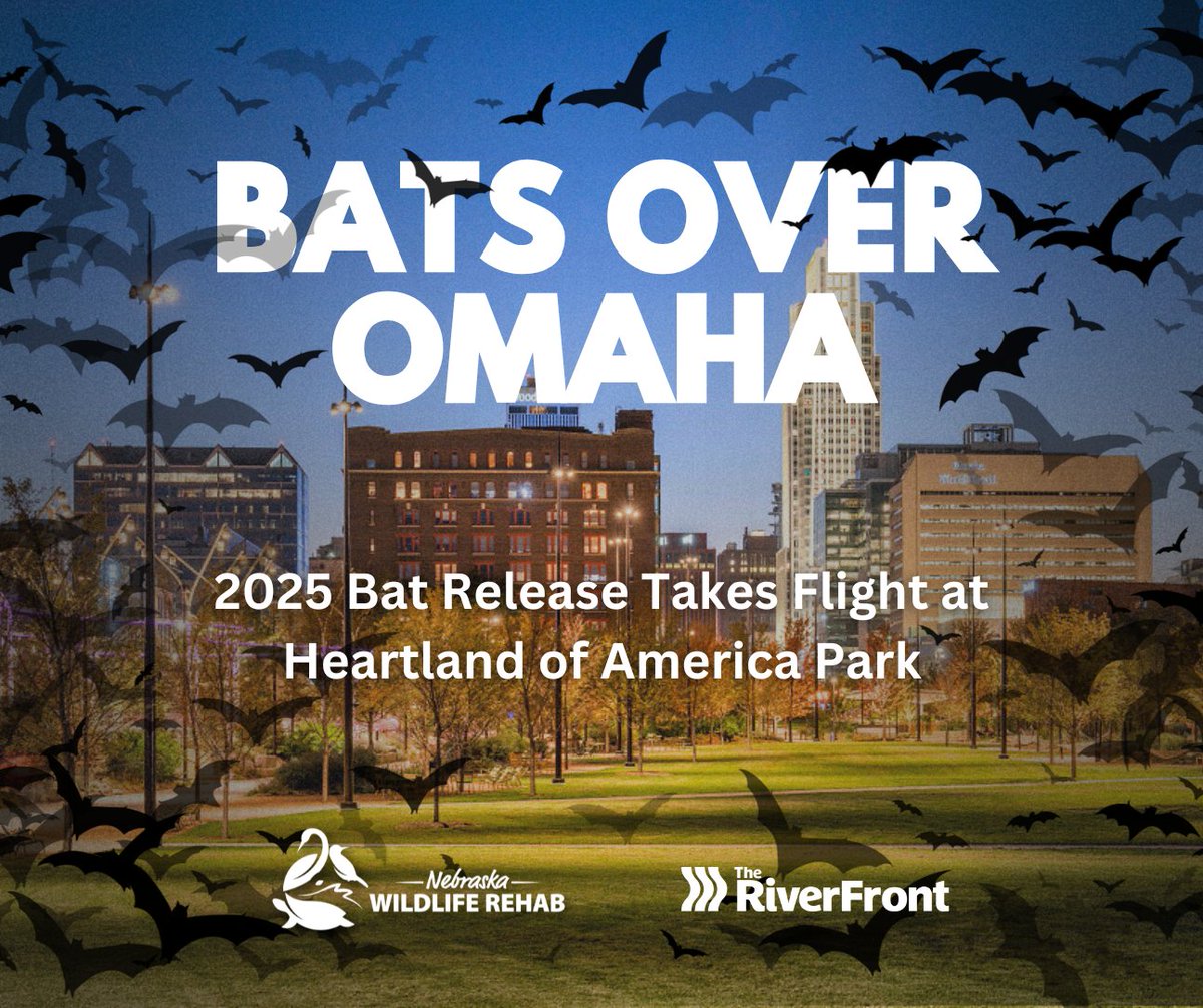 BIG NEWS ON BAT RELEASE! We're extremely thrilled to announce our new partnership with The RiverFront, hosting Bats Over Omaha for the first time at Heartland of America Park on the lawn alongside the skate ribbon!

🦇 Official announcement date coming soon 🦇