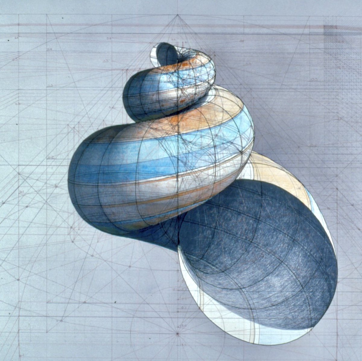 GEOMETRY 
rafael-araujo.com