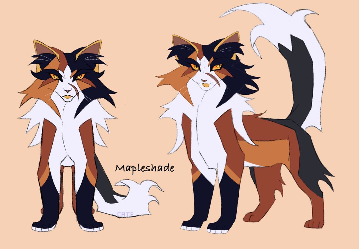I still have doubts about this design, but I like how it looks and I will try it with the next mini animation #mapleshade #warriorcats #warriorcatsfanart
