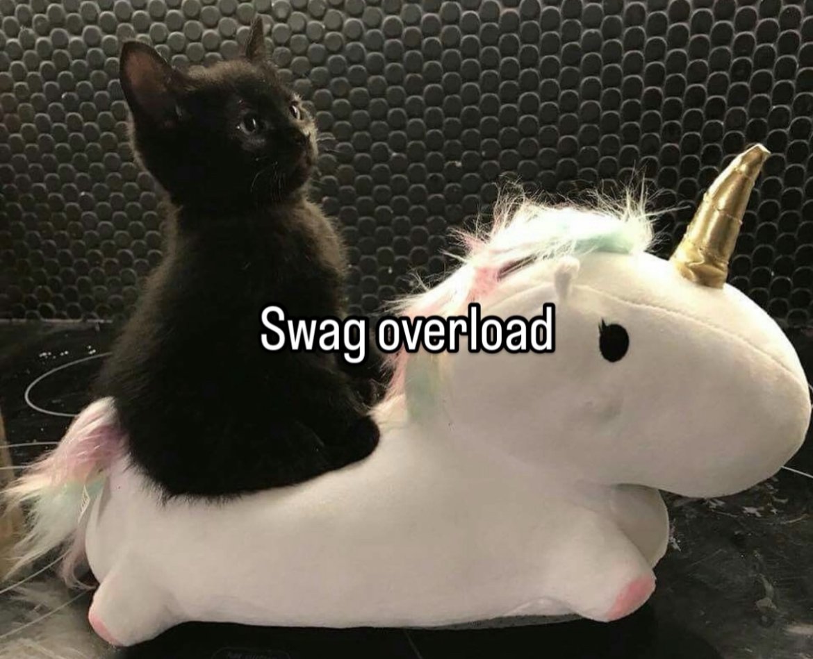 syvyyys's tweet photo. @fatmustyincel #swagoverload https://t.co/3glifZyE9N