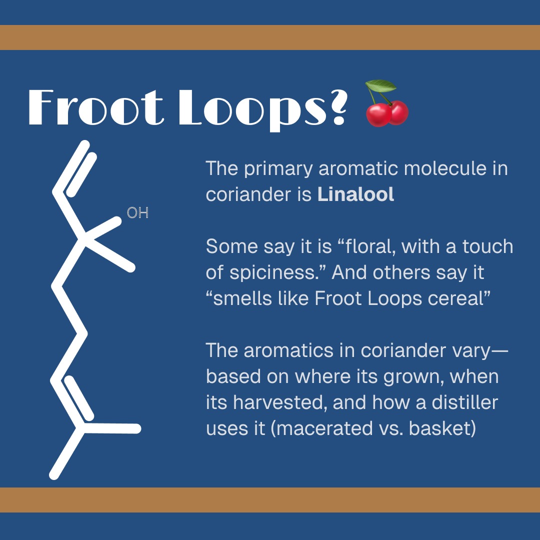 the GIN is IN tweet media