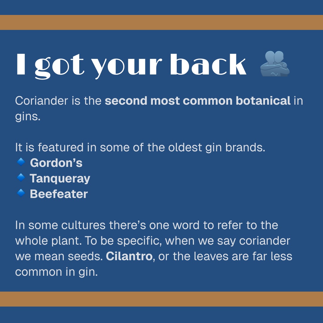 the GIN is IN tweet media