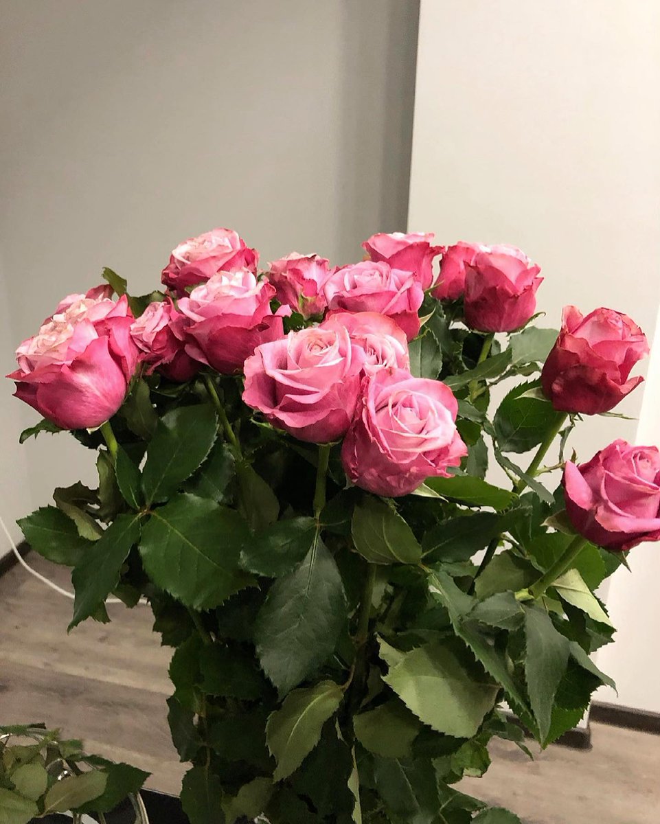 Today's flowers are proof of being favored💐
The sun is shining and the wind is gentle🌿
May you also be gently surrounded by this beauty🕊️