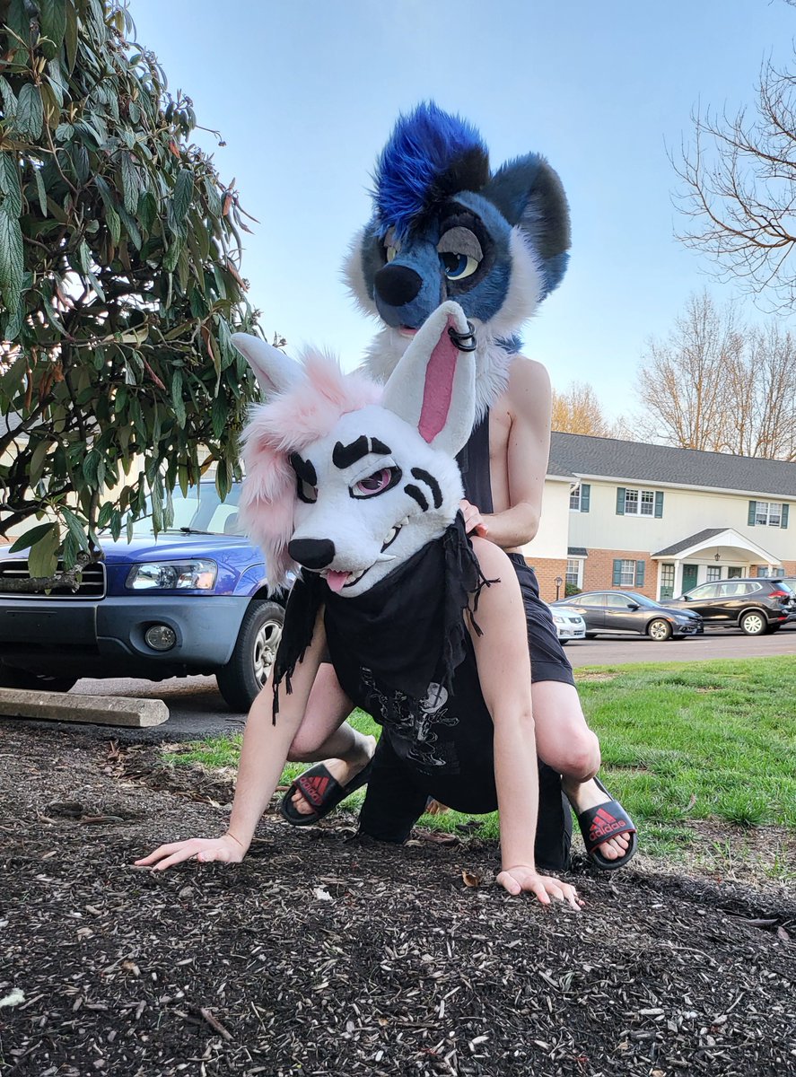 🐶✨️Star✨️🏳️🌈 (@staradder8) on Twitter photo Jackal Jockey!
w/ <a href="/dogpeel/">Yasakit Zagurren 🔜 MP FSF FP</a> 
#Furry #MinecraftMovie #JackBlack Jackal Jockey!
w/ <a href="/dogpeel/">Yasakit Zagurren 🔜 MP FSF FP</a> 
#Furry #MinecraftMovie #JackBlack