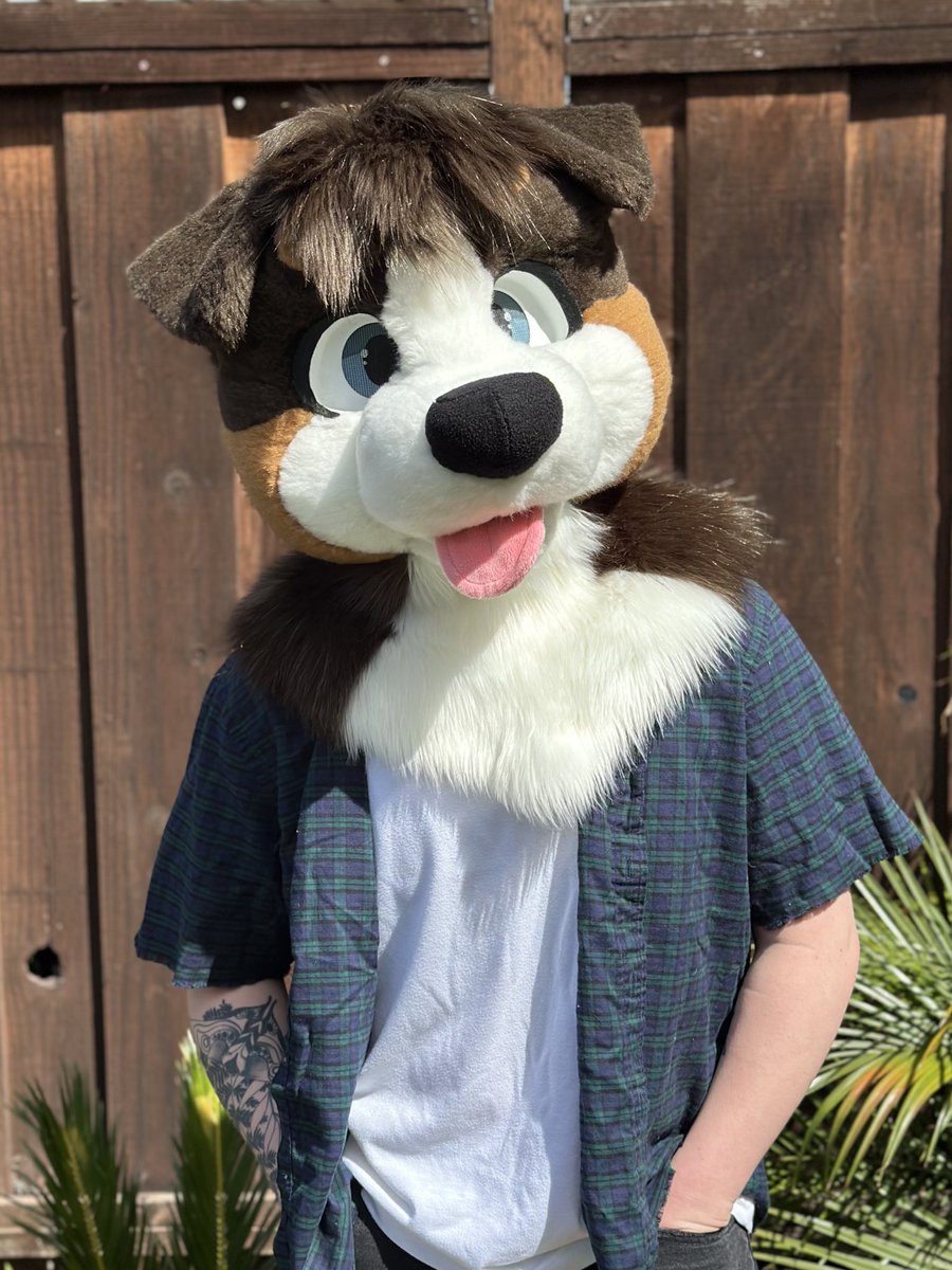 Dum Dog Studios tweet media