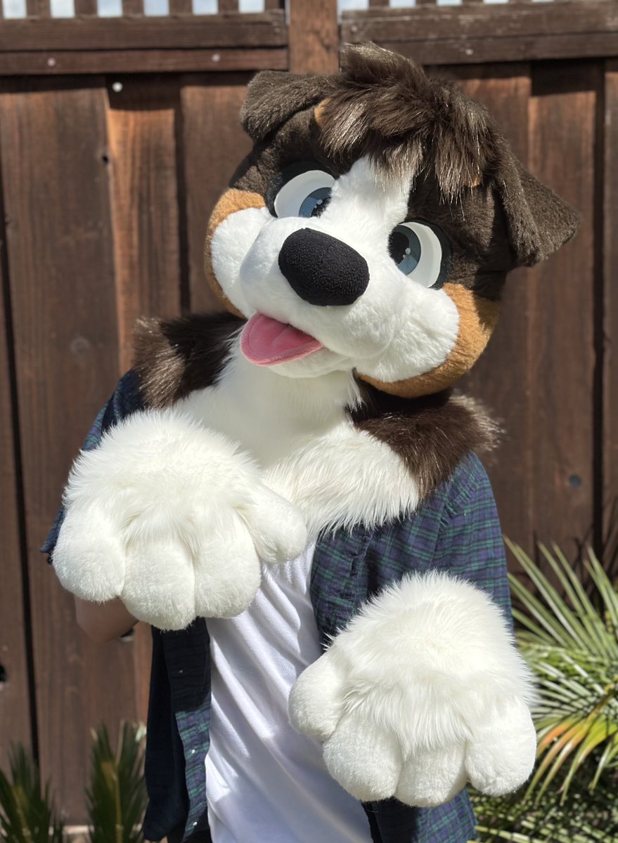 Dum Dog Studios tweet media