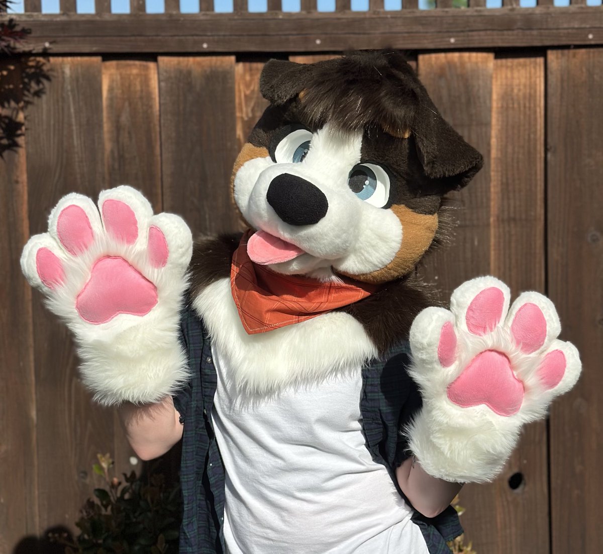 Dum Dog Studios tweet media