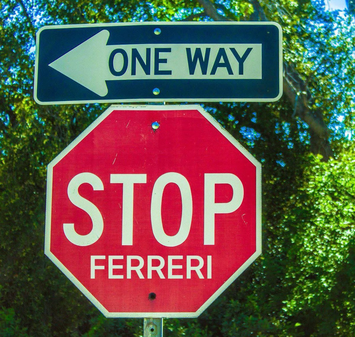 Our <a href="/CityPtbo/">City of Peterborough</a> deserves a member of parliament who doesn’t lie and gaslight their own constituents. <a href="/mferreriptbokaw/">Michelle Ferreri</a> is a LIAR and a narcissist. Peterborough’s voice needs to be heard in Ottawa. VOTE.