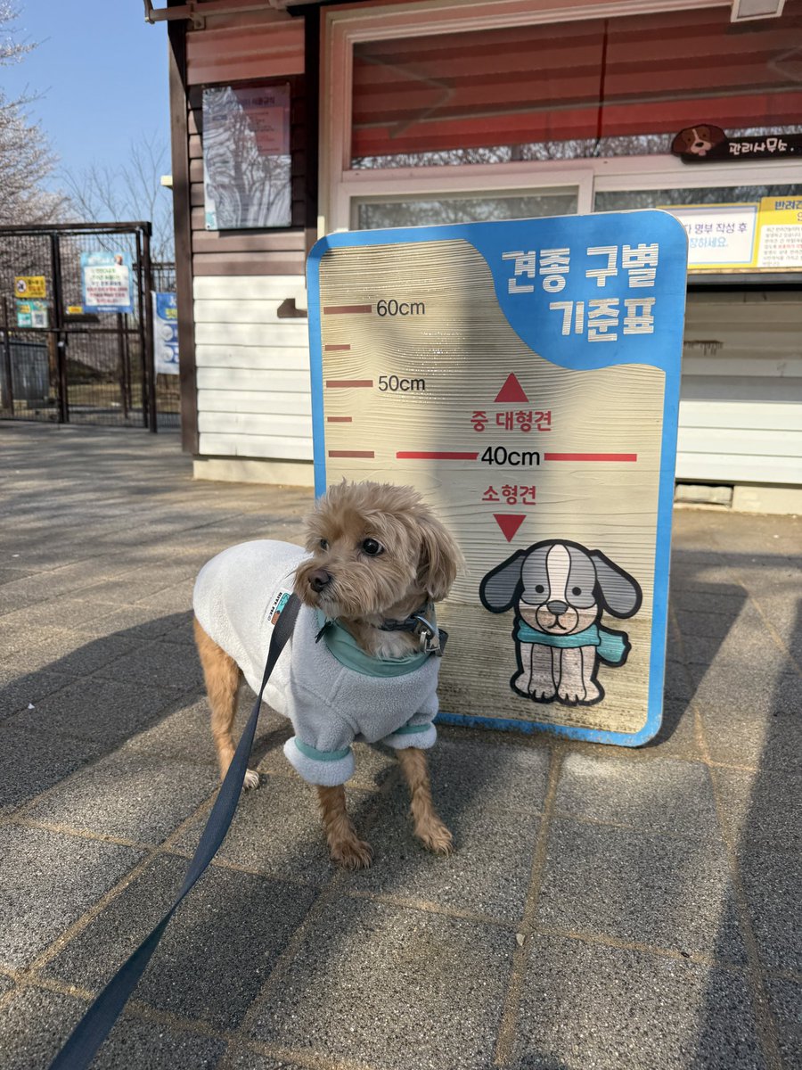 리오니 키재는거 보고 지나가시던분이 으헝 이러심ㅋㅋㅋㅋㅋㅋㅋ