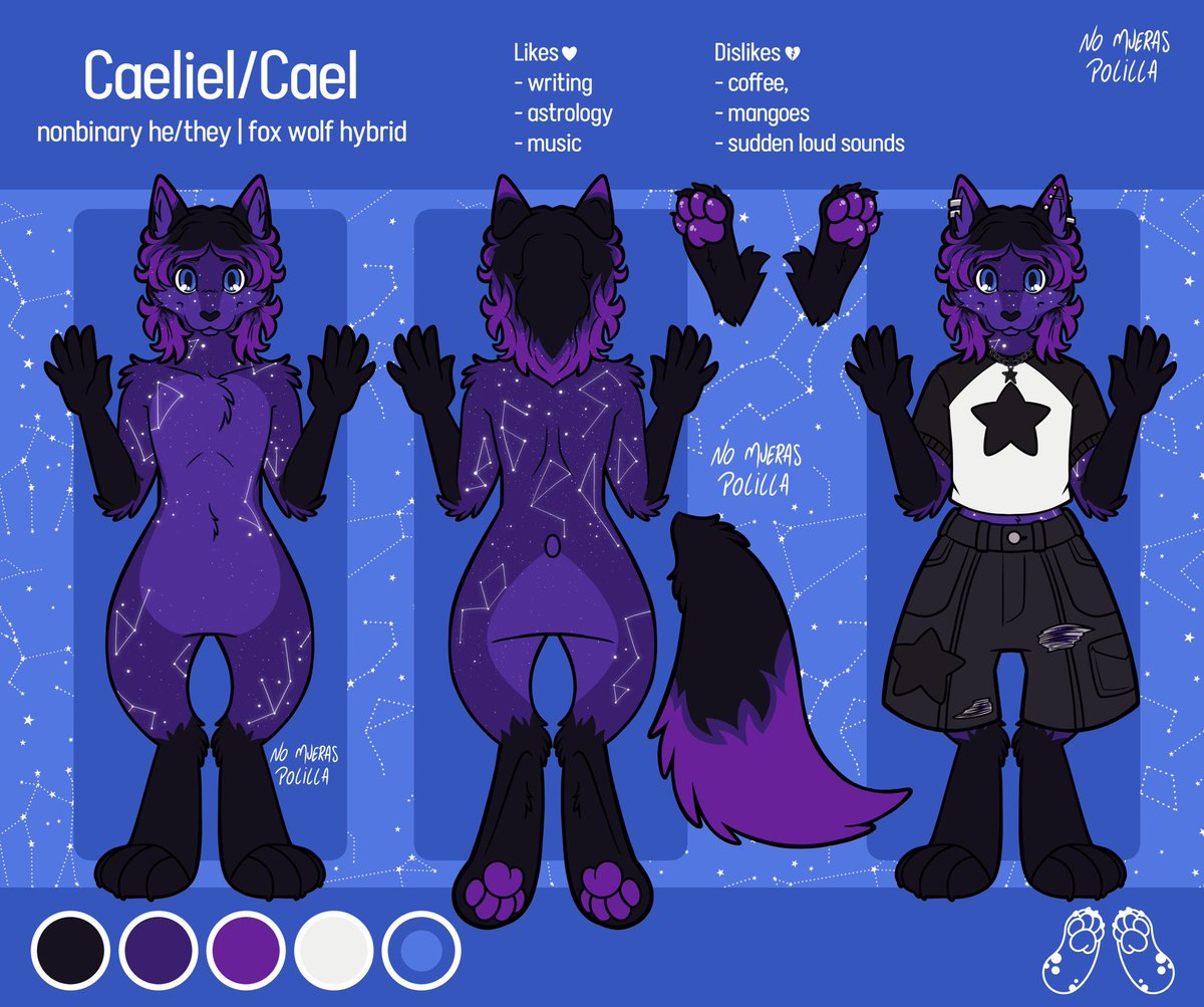 AstralPupCael's tweet photo. Hello! My name is Caeliel
Cael for short.
I’m a 23 year old Fox Wolf Hybrid!!
I’m new to the furry community and am excited for my new journey 💜.
Here’s my reference sheet of my Sona! 
I like to draw write sing and learn all things music. https://t.co/1IXx9YOZ8J
